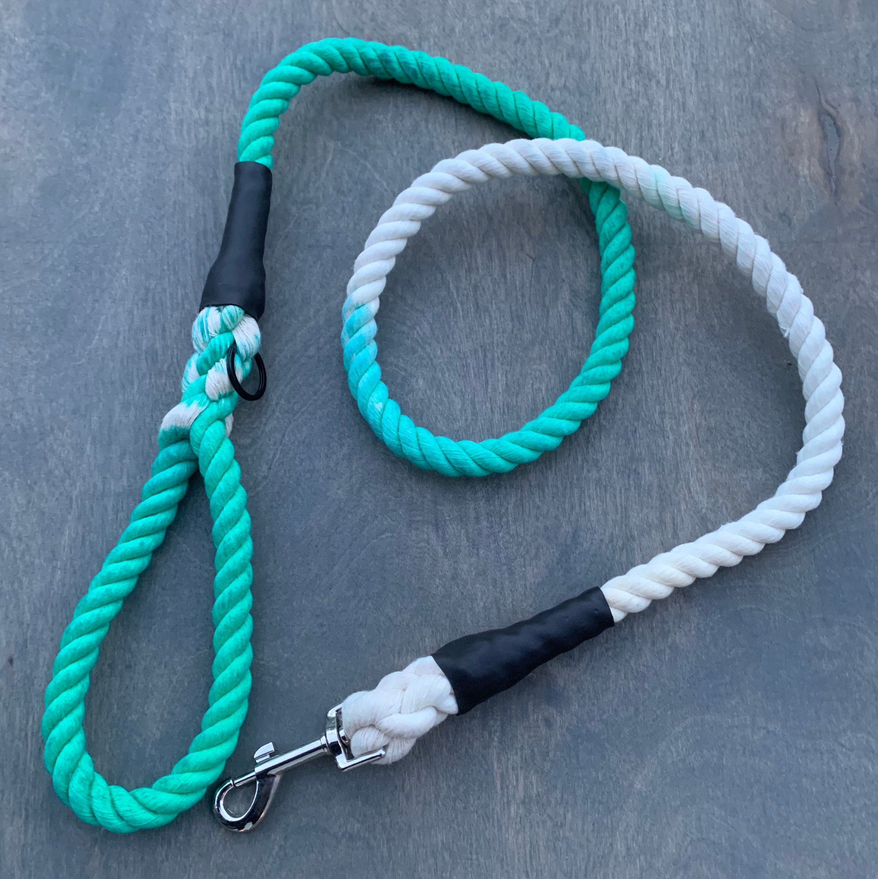 Teal Ombré Leash