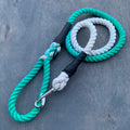 Teal Ombré Leash