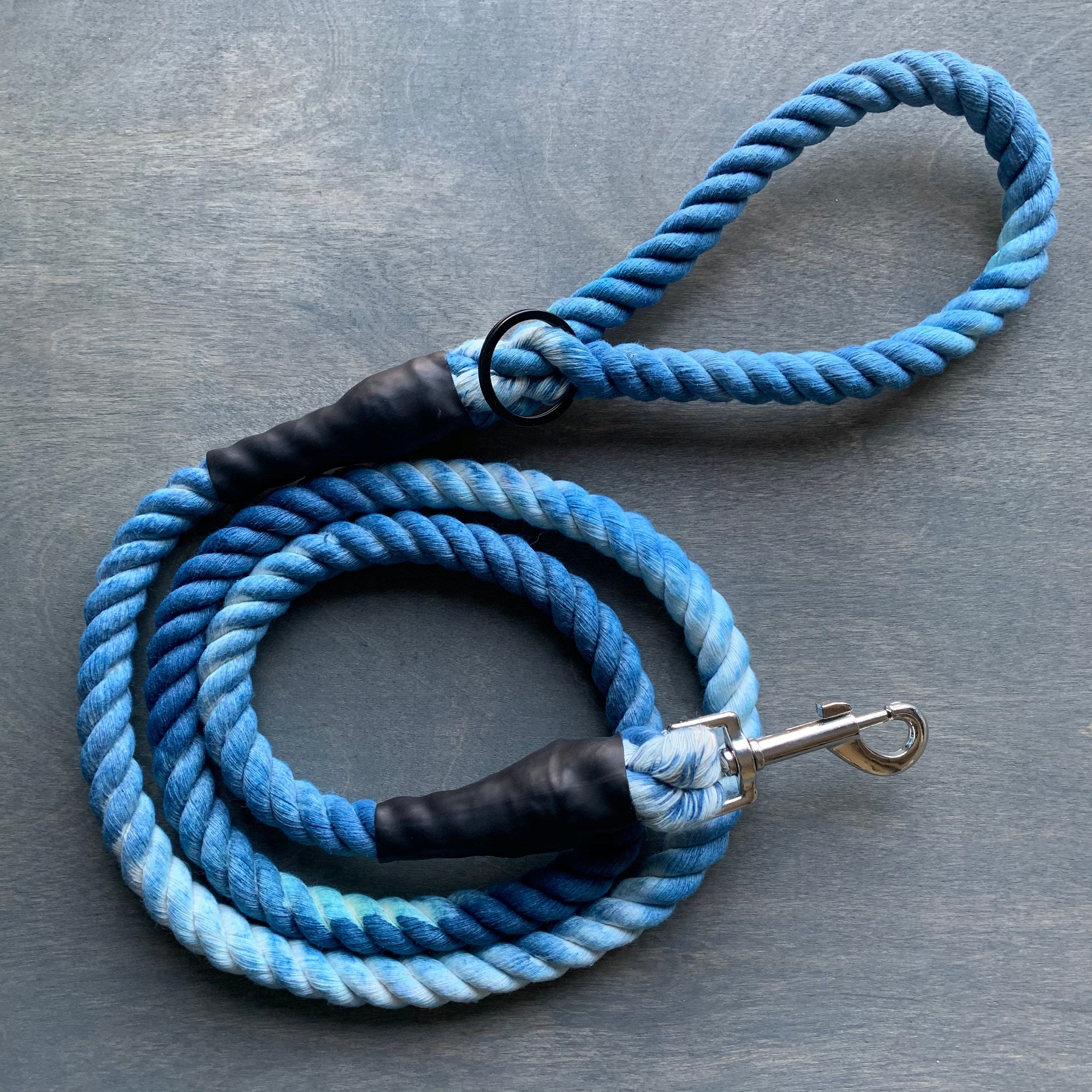 Sky Blue Leash