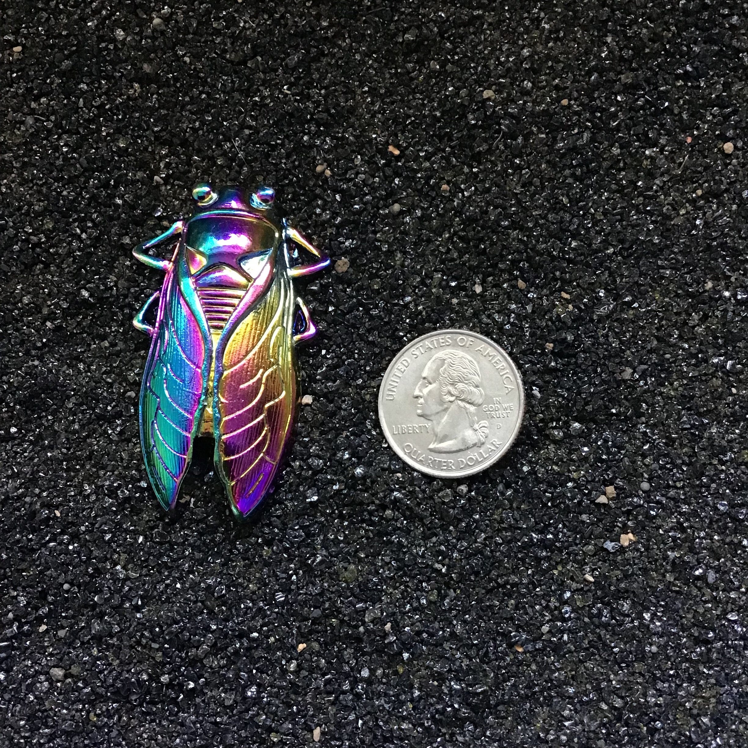 Rainbow Insect Bolo Tie
