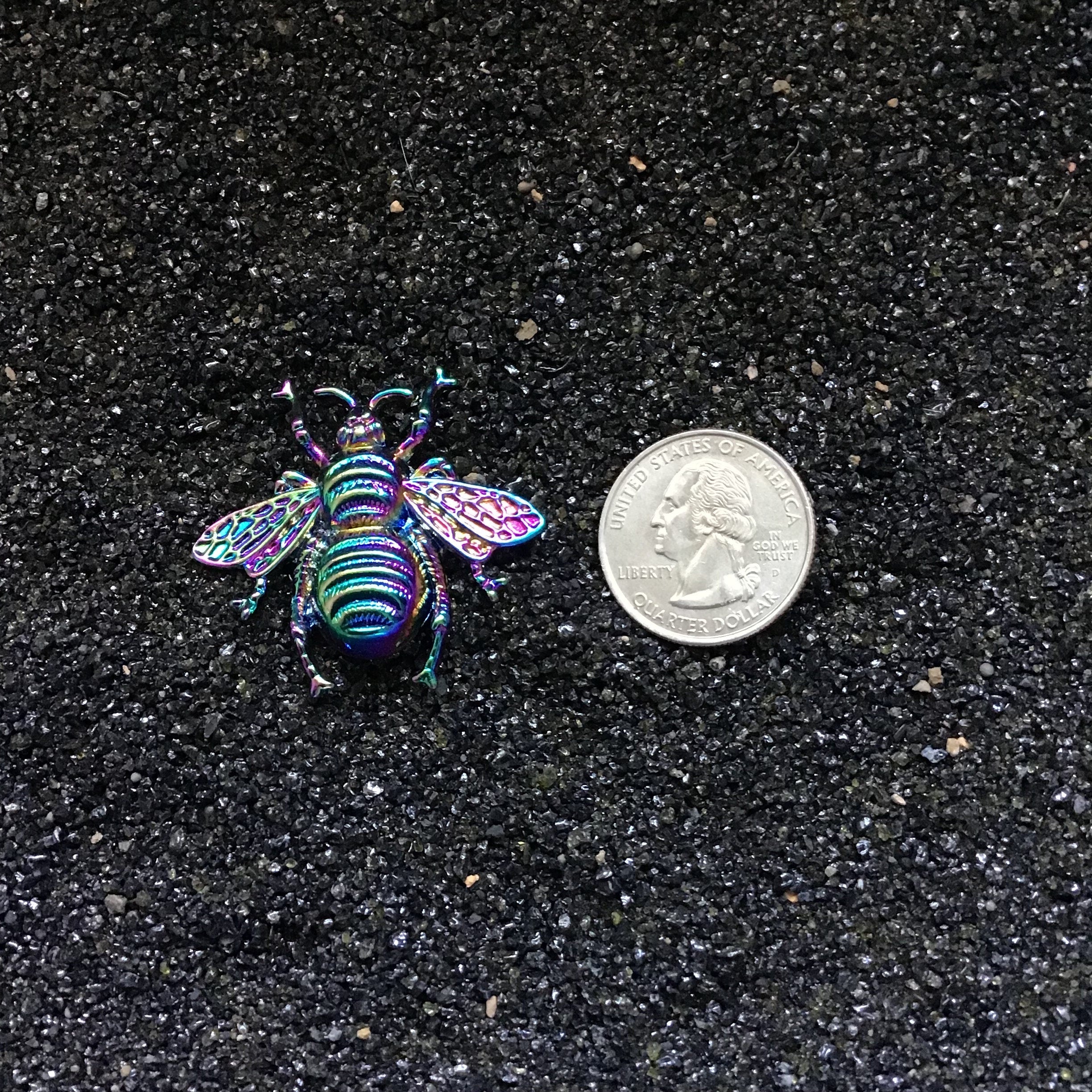 Rainbow Insect Pendant Button Covers