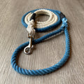 Blue Ombré Leash